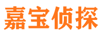 师宗侦探公司